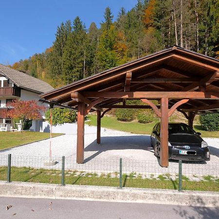Savadolinka House Appartement Mojstrana Buitenkant foto