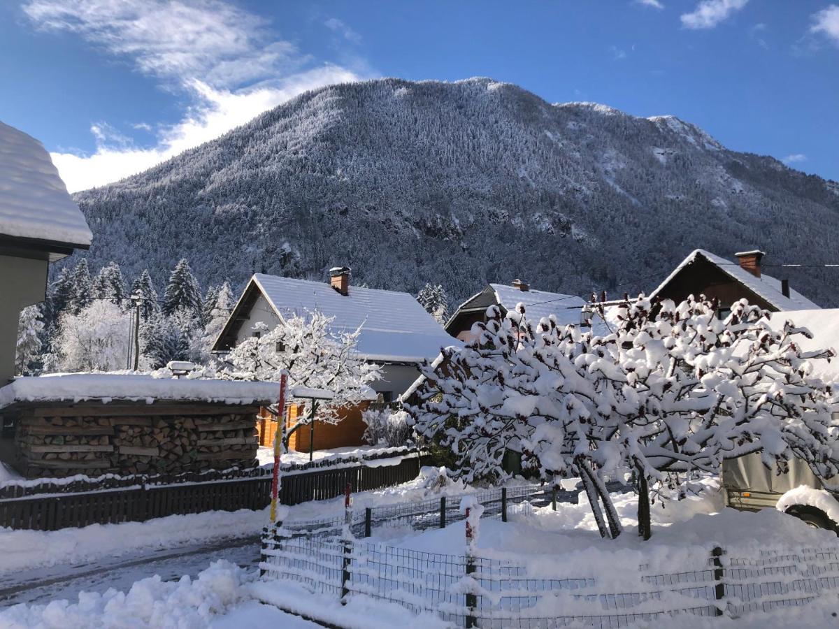 Savadolinka House Appartement Mojstrana Buitenkant foto