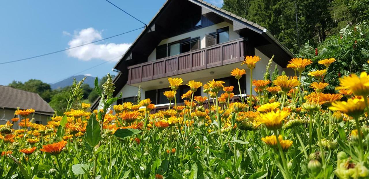 Savadolinka House Appartement Mojstrana Buitenkant foto