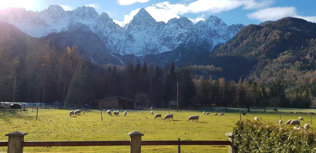 Savadolinka House Appartement Mojstrana Buitenkant foto